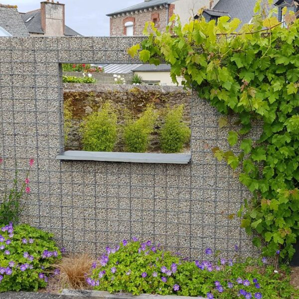 clôture gabions végétaux grimpants