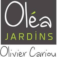 logo olea jardin